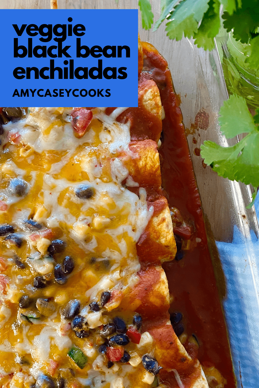 veggie and bean filled enchiladas with melted cheese
