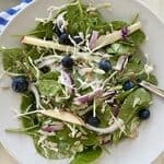 single serving of spinach blueberry salad
