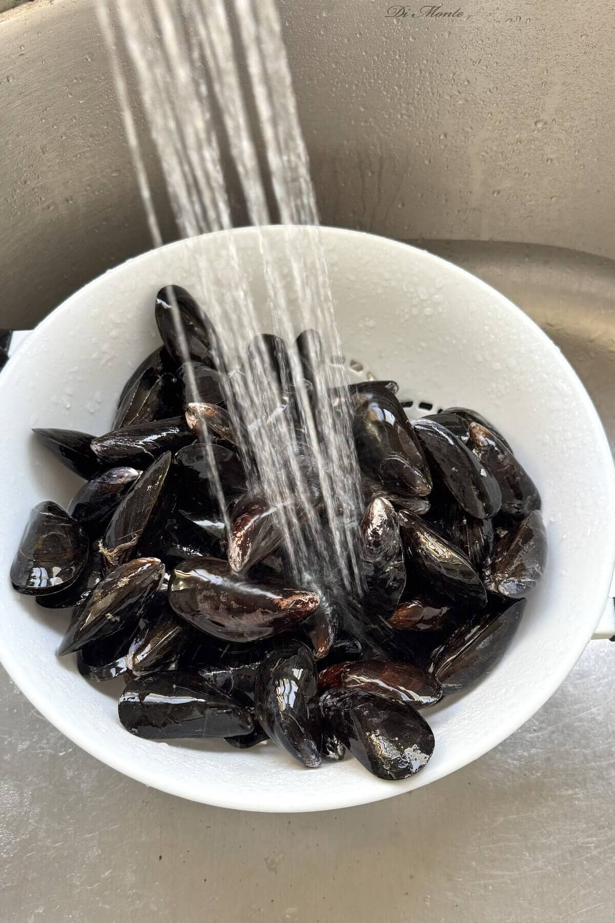 Rinsing mussels under cold water.
