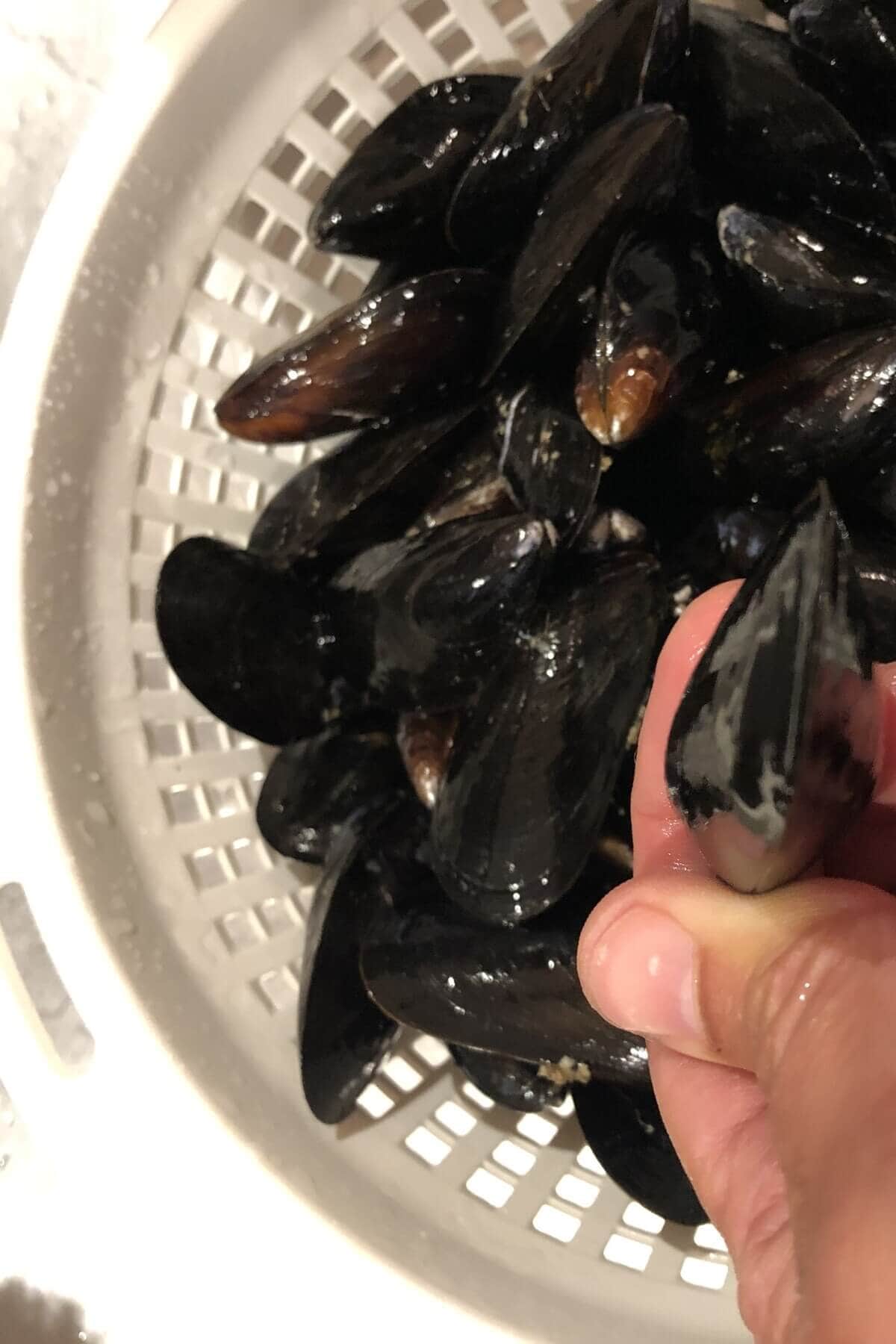 cleaning mussels with water.
