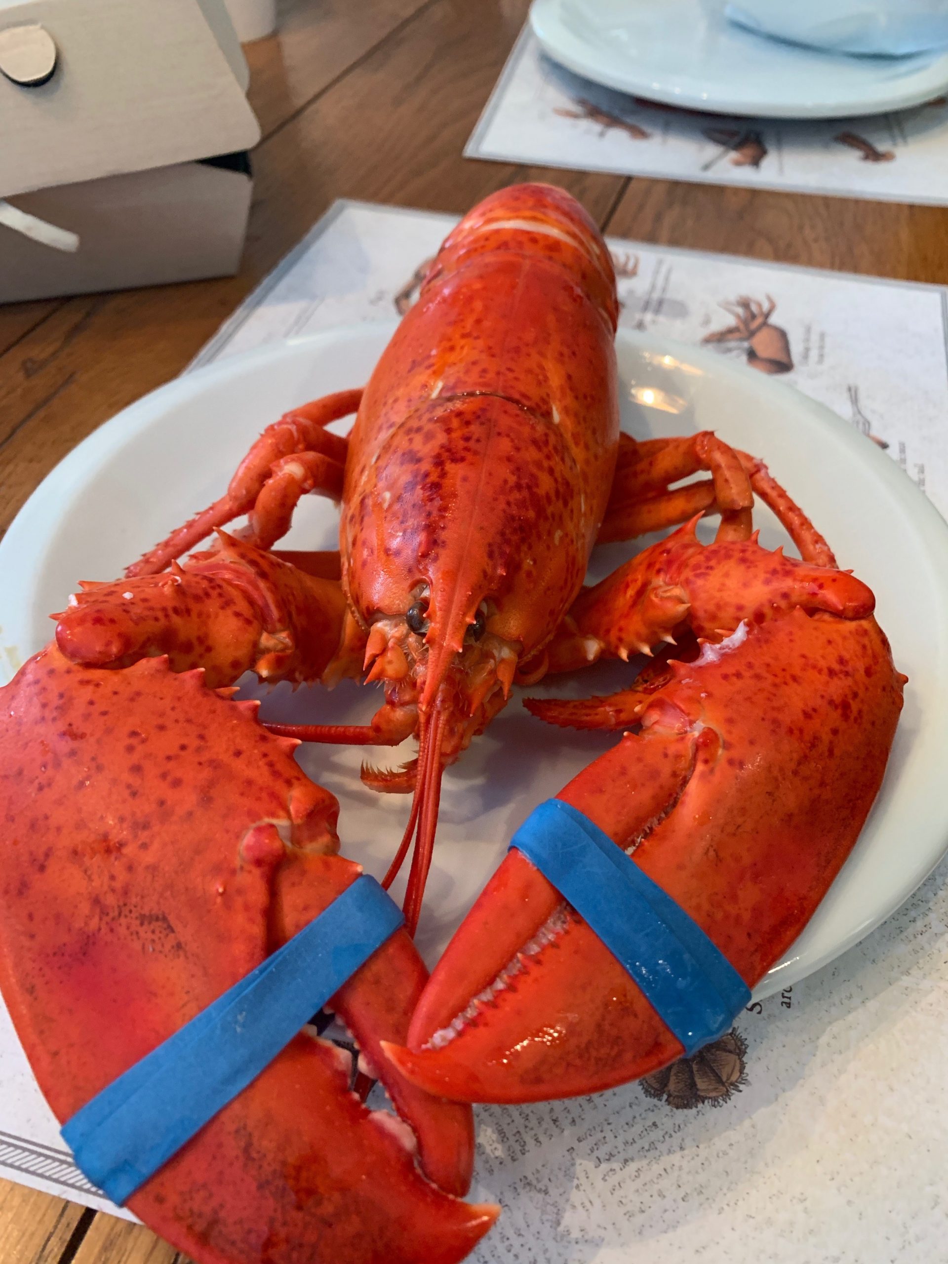 A cooked red lobster on a plate.