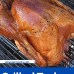 a golden brown grilled turkey on a grill