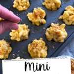 adding toasted panko to mini macaroni and cheese bites.