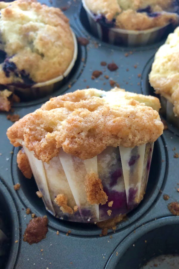 blueberry muffin with crumb topping