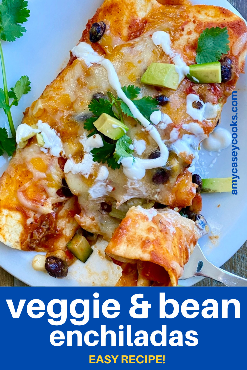 Black Bean Enchiladas {Healthy & Easy to Make}