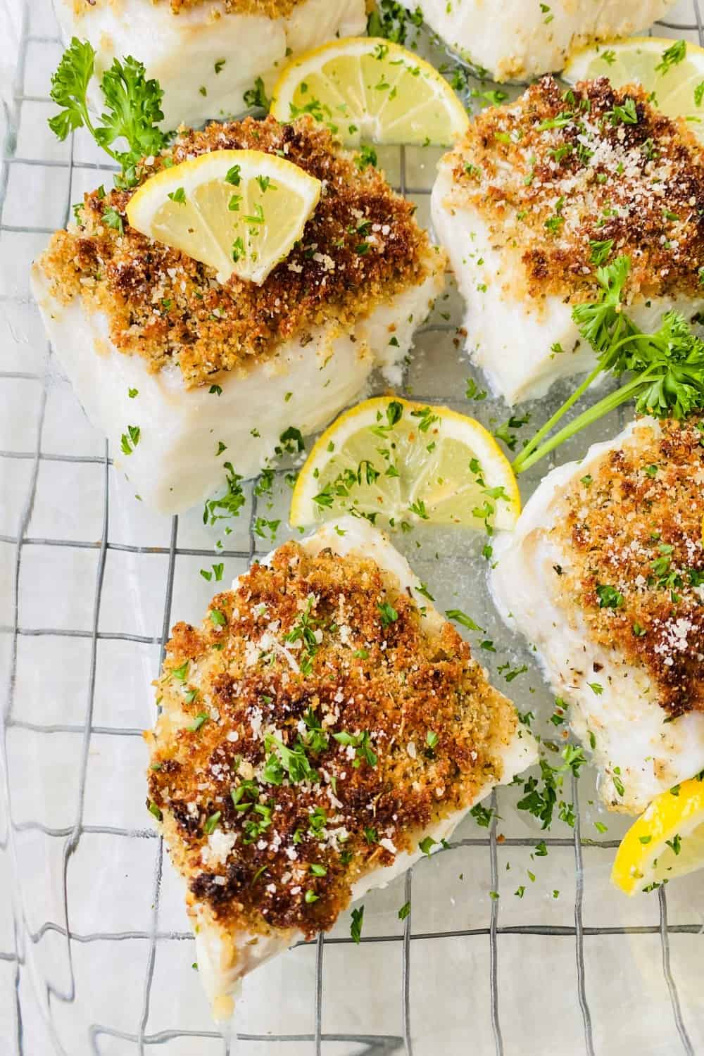 oven baked cod with Parmesan bread crumbs for oreganata