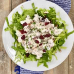 Cranberry chicken salad over shredded lettuce.
