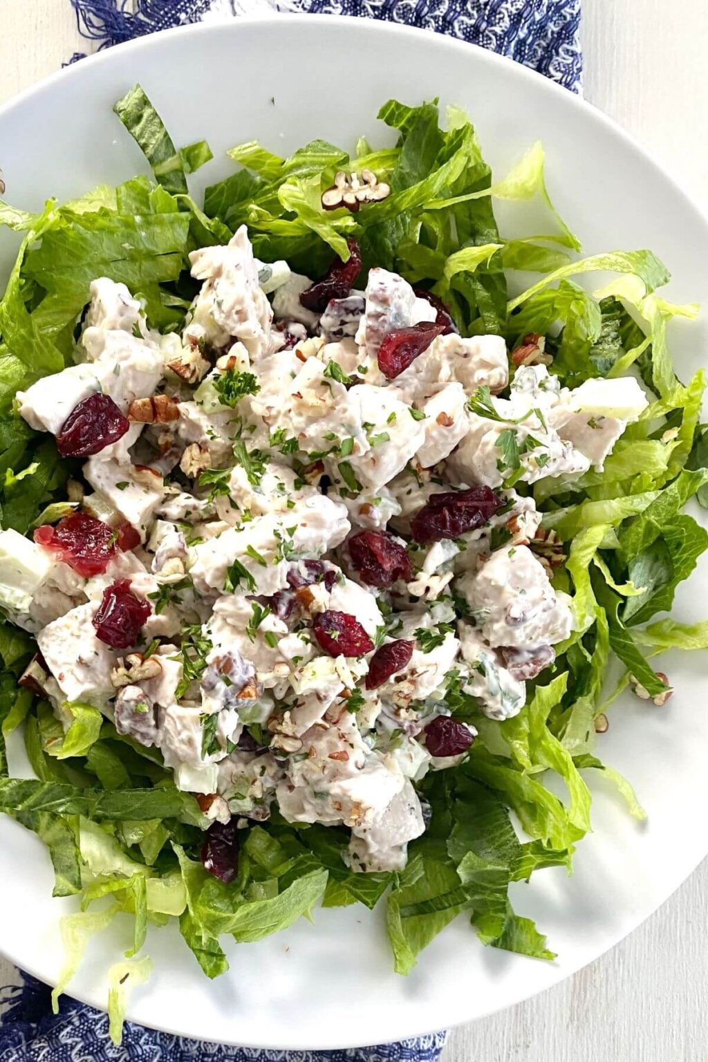 Easy Cranberry Chicken Salad with Toasted Pecans