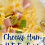 big bowl of cheesy ham and potato soup