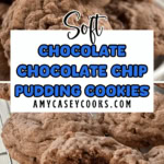 chocolate chocolate chip pudding cookies.