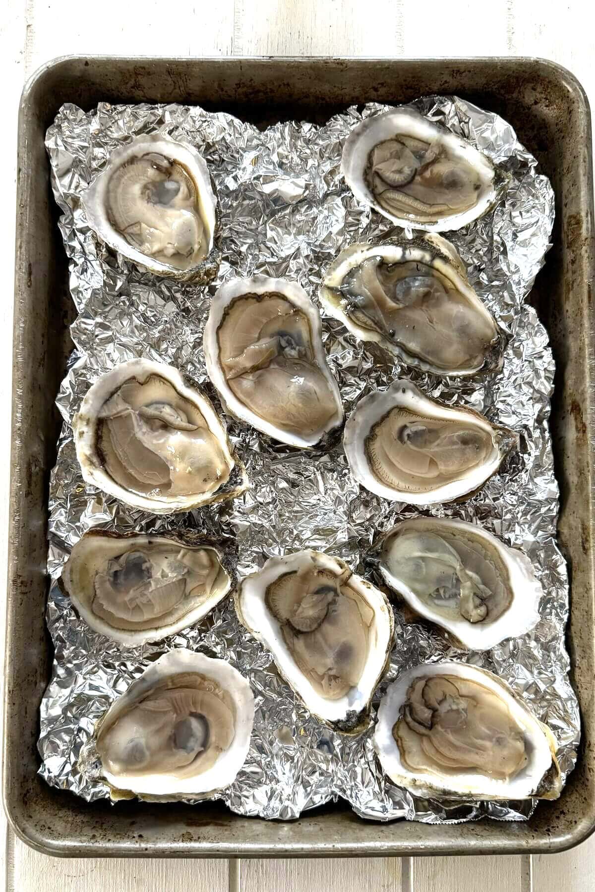 Shucked oysters for Rockefeller on crumpled foil on a baking sheet.