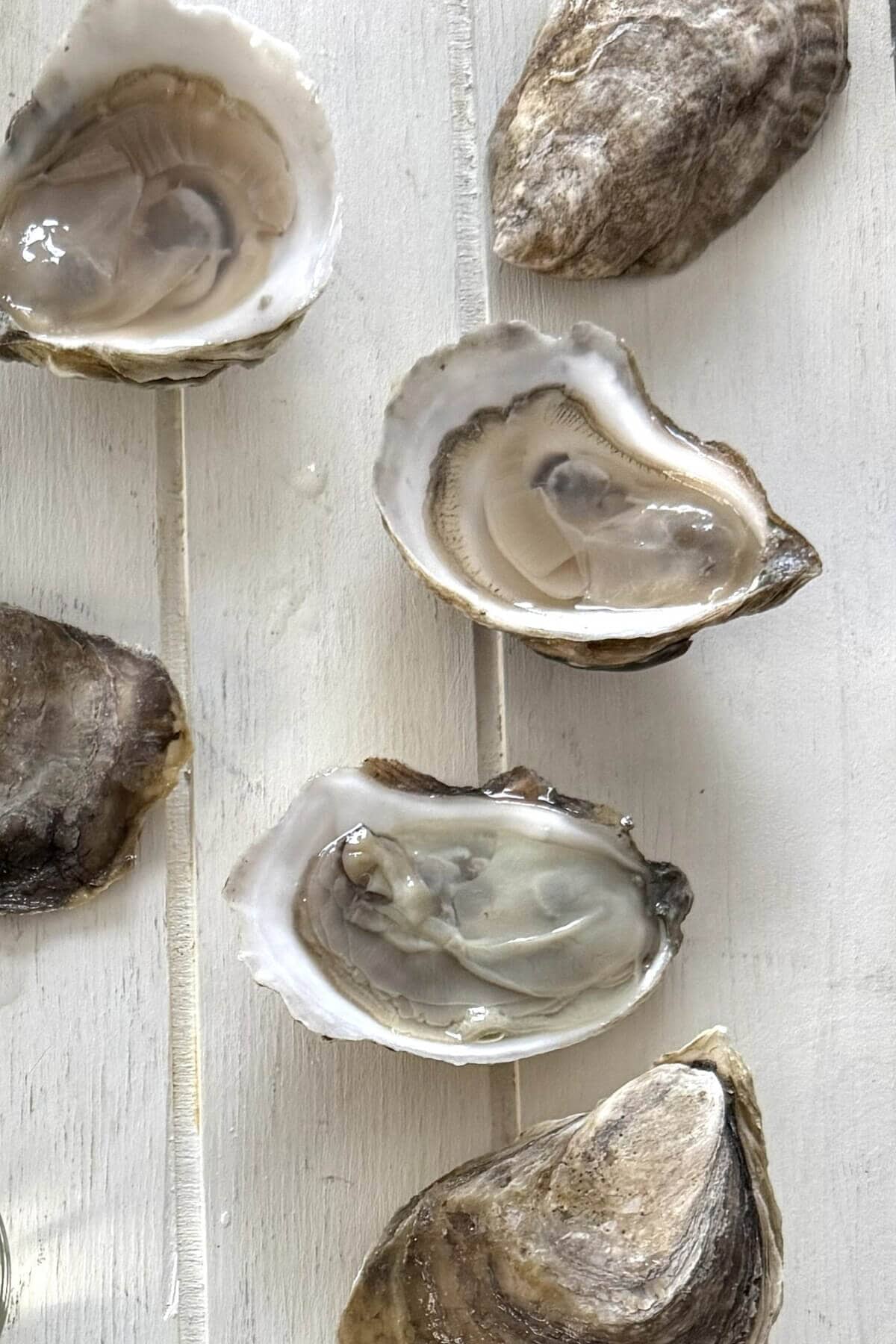 Shucked and whole fresh oysters.